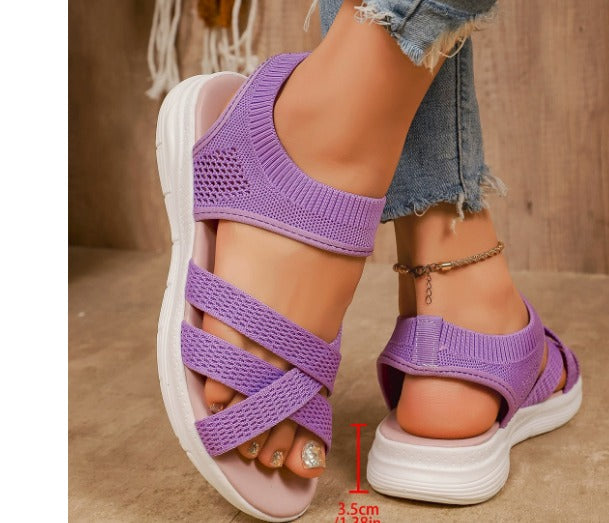 Purple / 12