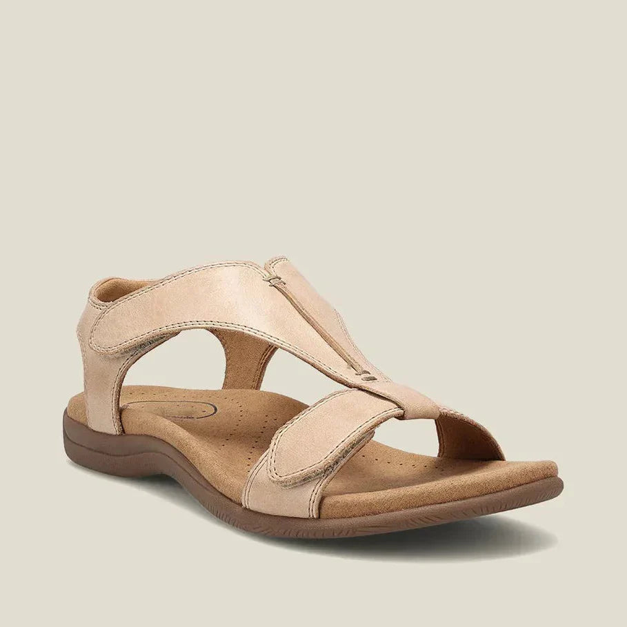 Beige / 14